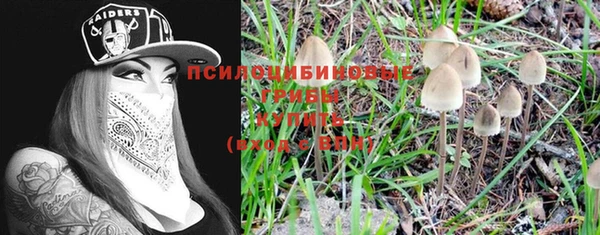 кокс Лабытнанги